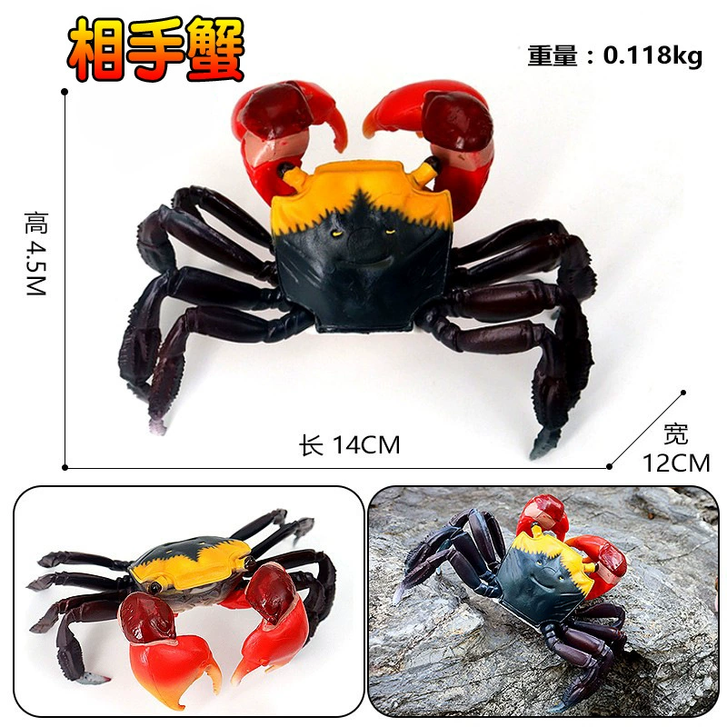 Игрушка, большие морские когнитивные украшения