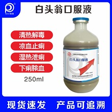 兽药中药白头翁口服液肠炎拉稀黄白痢脓血止痢猪牛鸡鸭兔宠物狗狗