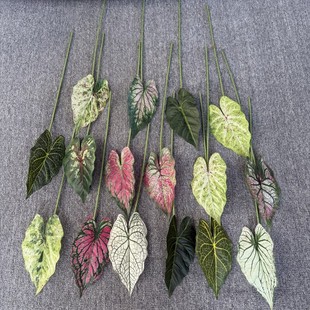 Single simulation of taro leaf green plant outdoor landscaping home wall hanging decoration wedding flower tortoise leaf green plant wholesale