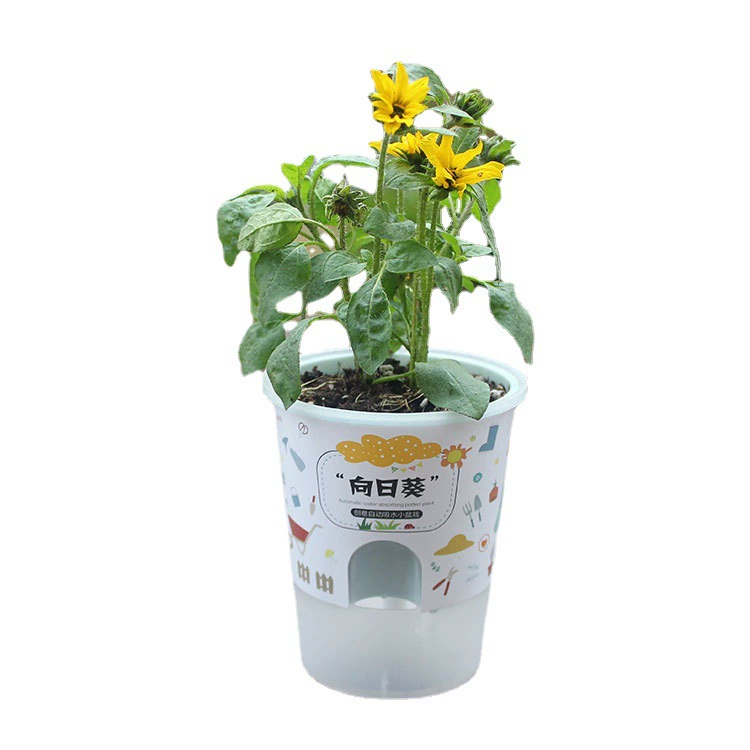 [跨境爆款罐小吸迷你植物盆栽幼儿园儿童DIY种植草头植物发芽盆栽]