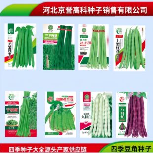 �ļ����������o�ܶ����m���㶹��ܶ��ض���Ʒԭ�S�Ҳ�ɫ����b
