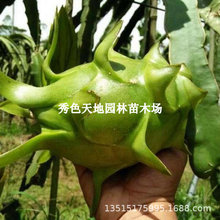 ��Ʒ�N̨����Ƥ�t��������o��Ƥ������ļ�����Y���̨���Ե���