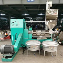 新型商用榨油机油坊中型全自动花生菜籽设备茶油