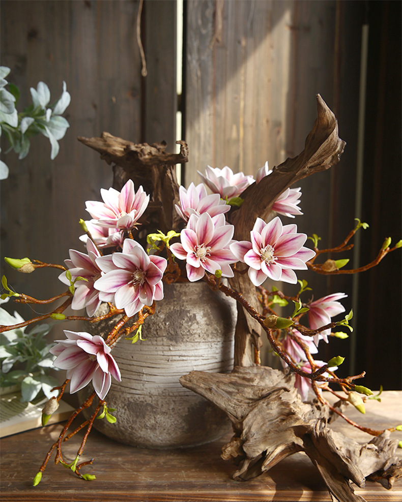 Three-headed Magnolia 2