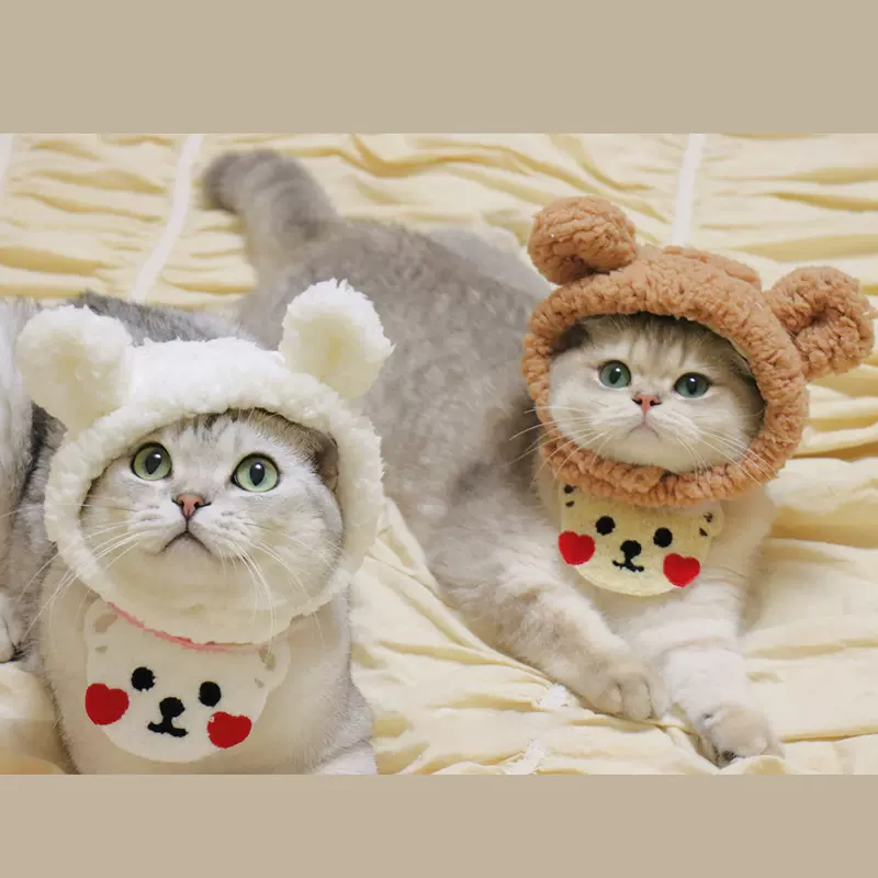 宠物帽子小熊毛绒头套可爱猫咪狗狗小型犬编织保暖头饰装扮批发