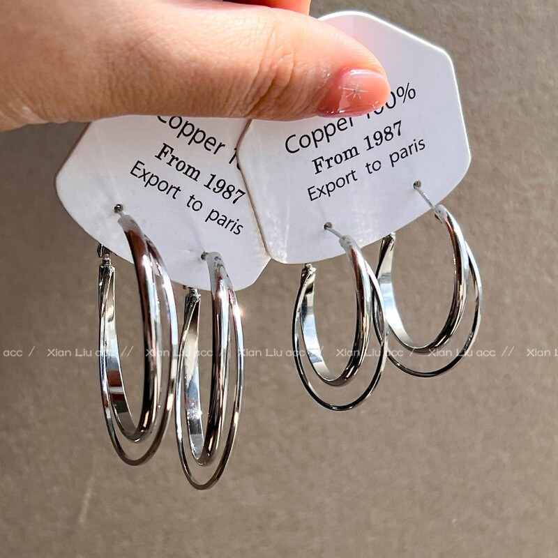 Silver Double-Layer Hoop Earrings for Women, Popular Style, High-End and Elegant, Light Luxury Niche Design, 2026 New Model Earrings