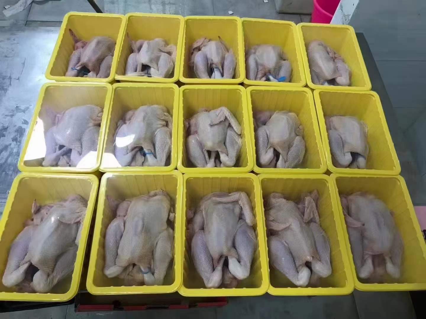 mmexport1681977635691