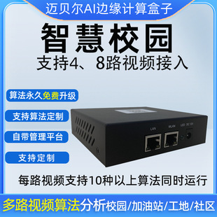 Enterprise-Level 8-Way Intelligent Edge Computing Server Secondary Development 24+ Algorithm Large Model Configuration at Will