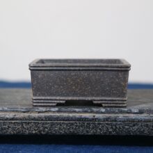 ��ɰ�����L�������R�����ֹ��辰�軨�����]С��ŵ��Ї��L�往��