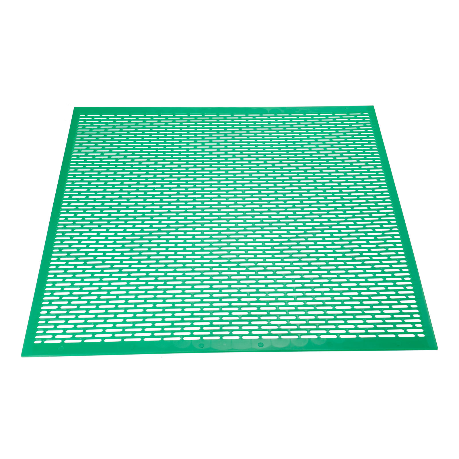 养蜂用 塑料隔王板英国 美国通用塑料 隔王板 绿色黄色塑料隔王板