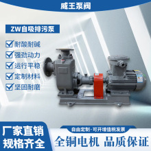 �S��ֱ�N���P��x��ʽ������ZW200-280-20���Cе�ܷⲻ�������۱�