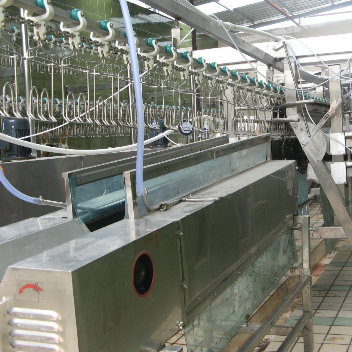 立式A字型鸡鸭自动脱毛机 大产量鸡宰杀流水线 福瑞达屠宰设备