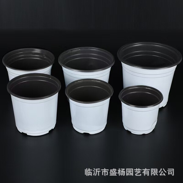 White two-color flower pot planting seedling nutrition bowl…