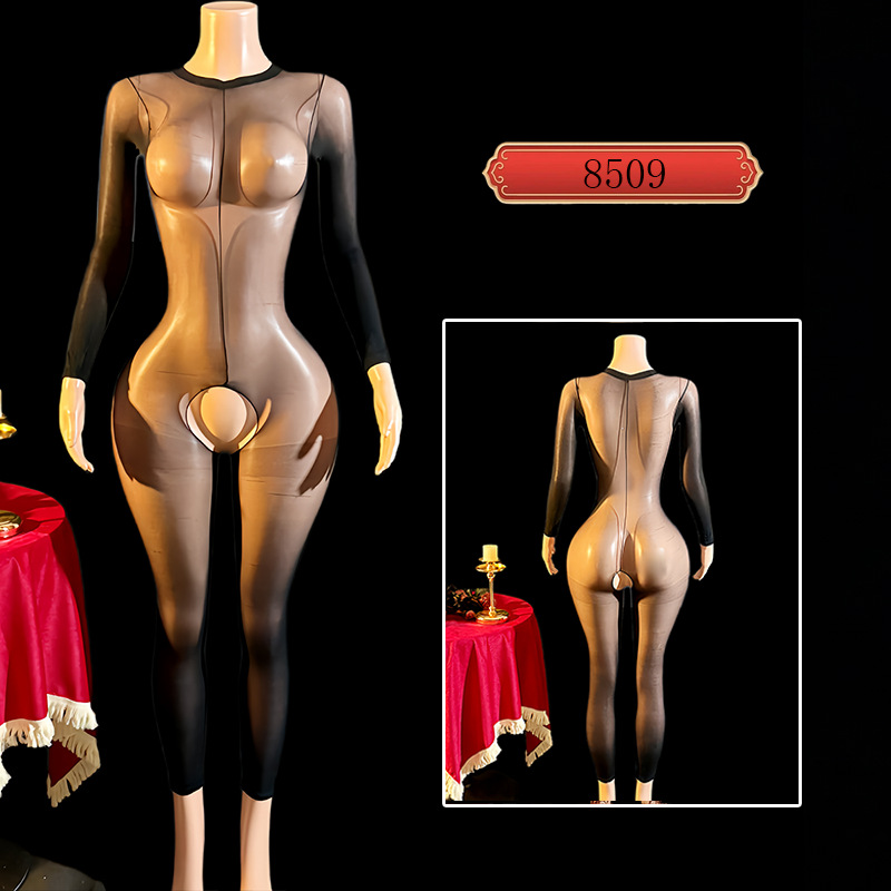 Lencería Sexy Enteriza de Manga Larga de Nailon de Perspectiva para Mujer
