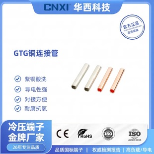 Cnxi Huaxi Technology Gtg Copper Connecting Pipe Wire Butt Copper Pipe Cold-Pressed Terminal Block Quick Wiring Nose