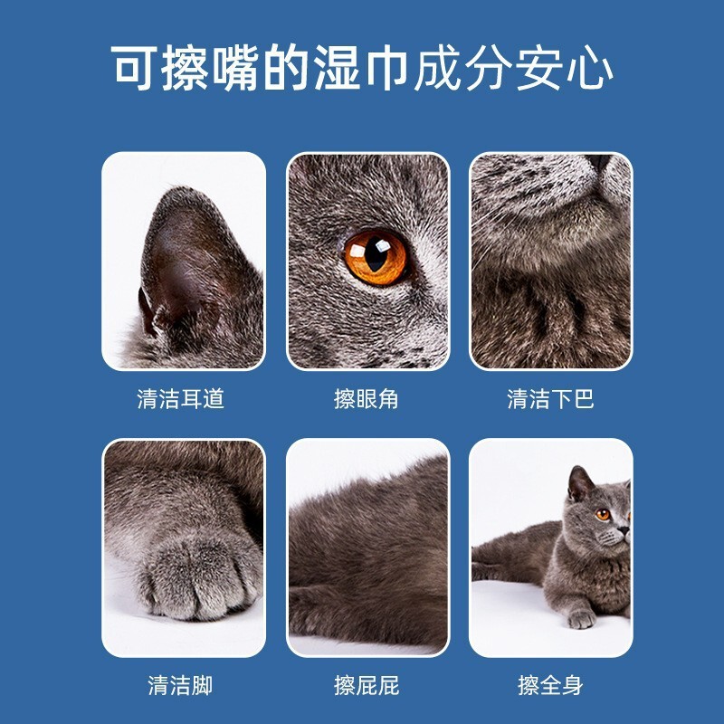 宠物清洁用品猫狗免洗手套湿巾棉签狗狗除臭剂猫咪洁耳液厂家批发|undefined