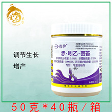 �¹����ڱ̻���&middot;����&middot;̦ܿ����������ҩ��ֲ���������ڼ�50g