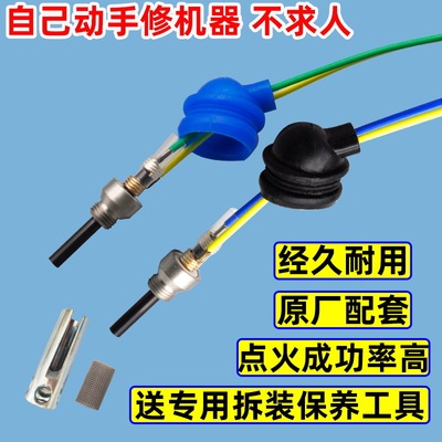 Ignition Saijing Firing pin Spark plug 24v12V Heater Parking Heater parts complete works of