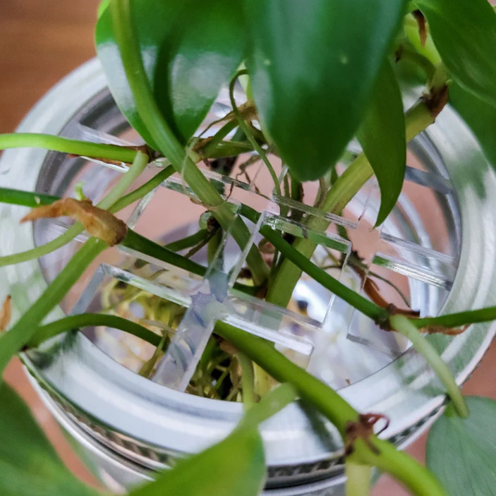 跨境 梅森罐盖插花插件简约植物繁殖透明亚克力园艺小工具2个一套|undefined