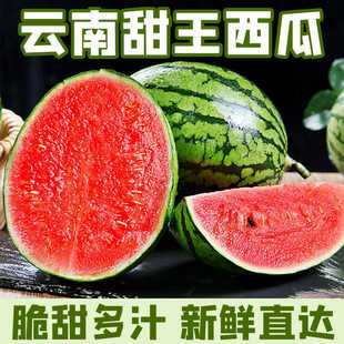 【云南甜王西瓜】当季甜王西瓜甜西瓜现摘薄皮有籽黑籽水果西瓜多-阿里巴巴