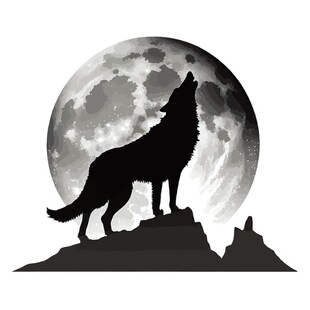 New ACC33050 personalized creative Moon Wolf bathroom bathroom waterproof toilet stickers home self-adhesive wall stickers