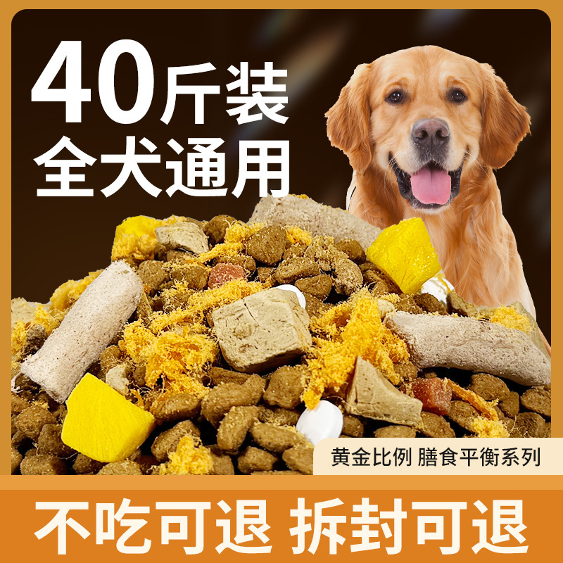 General-Purpose Dog Food for Adult Dogs and Puppies, Labrador Golden Retriever, Multi-Purpose Dog Food for Medium and Large Dogs, kg Large
