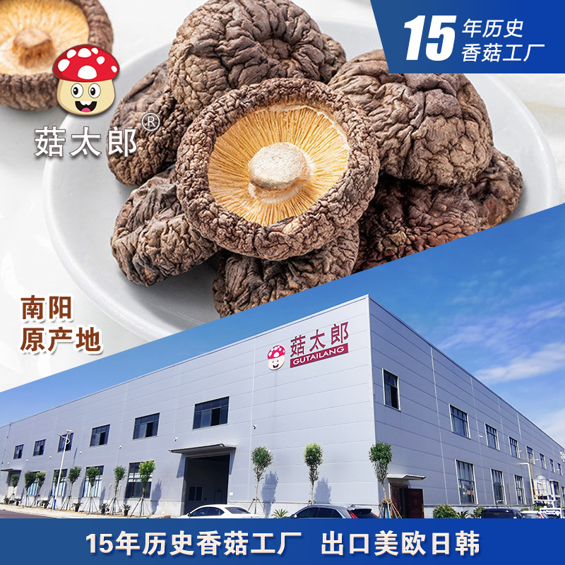 Dried shiitake mushrooms 3-4cm cut feet, thick flesh, dried shiitake mushrooms, wholesale dried shiitake mushrooms, exportable base registration