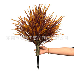 �羳�¿����Ȼ���ţ���������ɰع�β�ͽ��R���ѻ�����ز���쾰