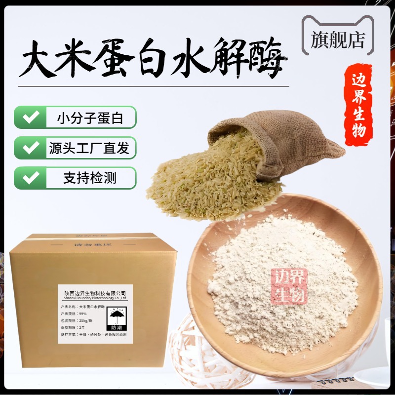 大米蛋白水解酶 小分子蛋白加工植物蛋白粉粗粮加工酶  边界生物