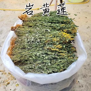 �F�ݲ�ș���Sɏ500g�����S�B���S�B�Һ����B�ջ��S�B��؛