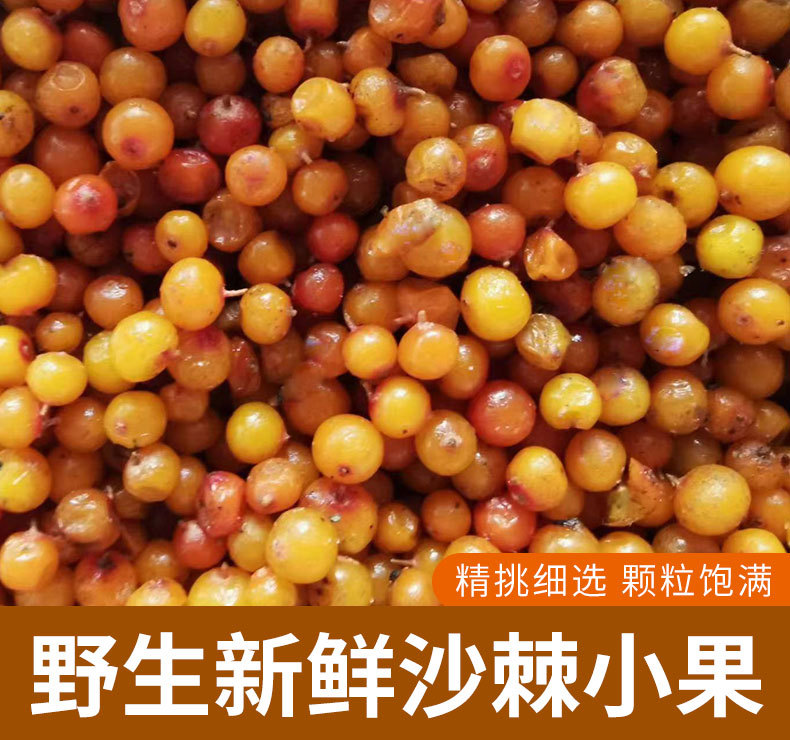 Frozen Sea Buckthorn Berries Small Fruit Sha Ji 1 kg Inner Mongolia Fresh Frozen overview