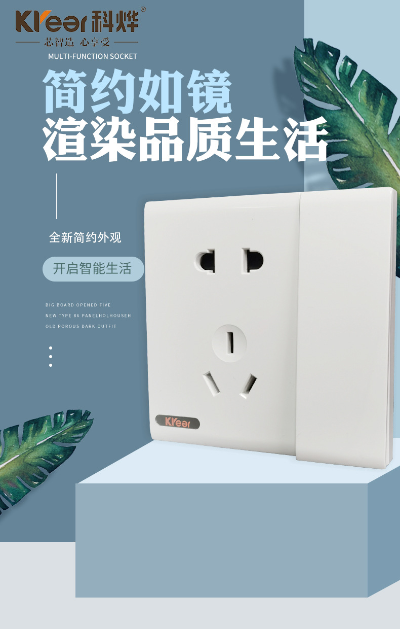 插座5_01.jpg