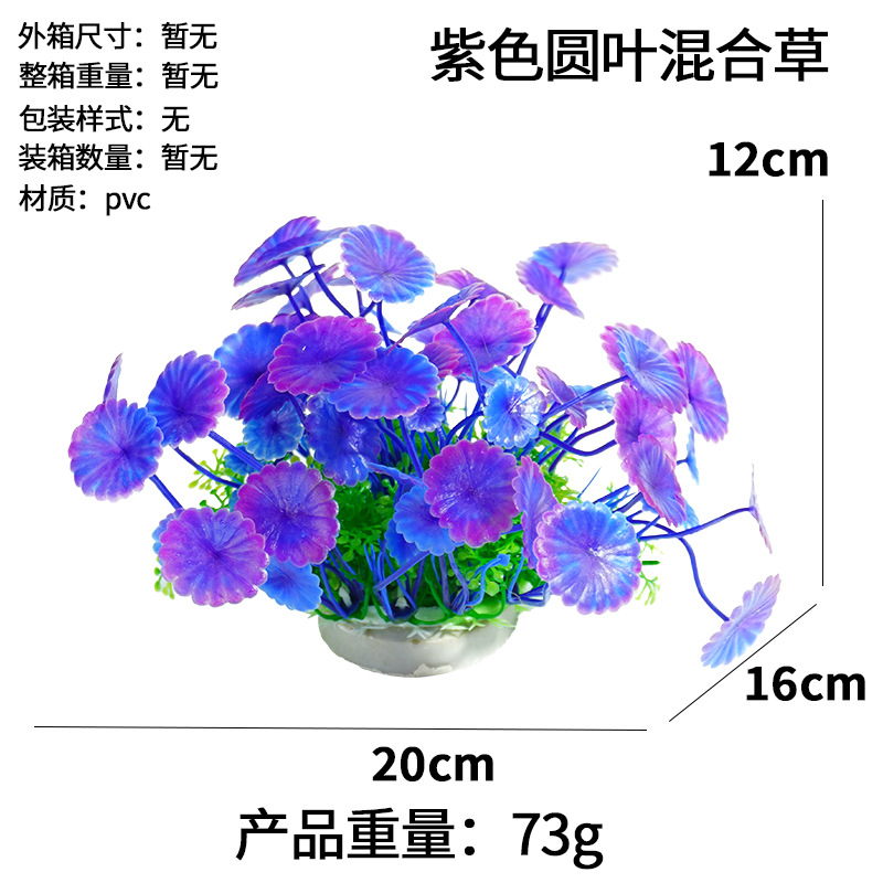 Hierba mixta de hojas redondas moradas (12cm)