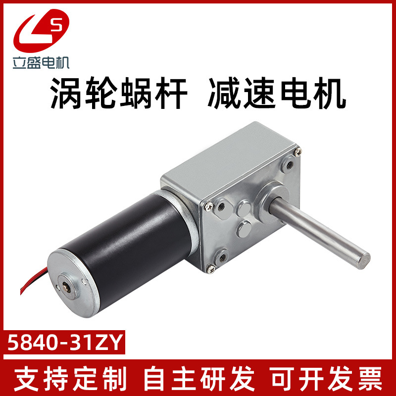 5840-31ZY长轴微型直流减速电机钢齿轮 蜗杆调速慢速马达12V24V