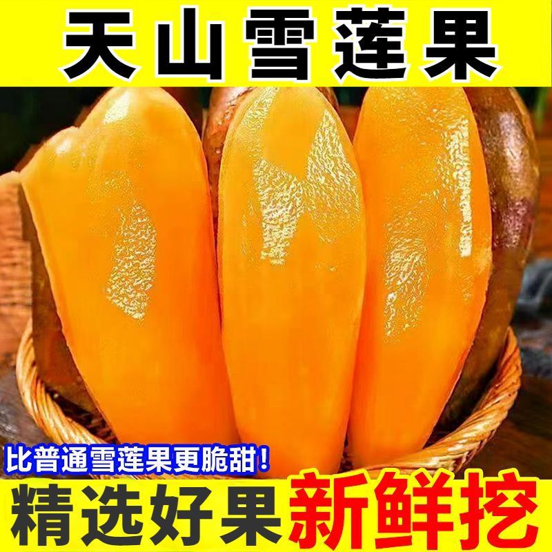 [Super sweet] Yunnan Tianshan snow lotus fruit yellow red heart crispy sweet pregnant women seasonal fresh fruit wholesale whole box