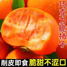 �ɿ������������rˮ�������S��Ӳ���ӟo����������һ�����l