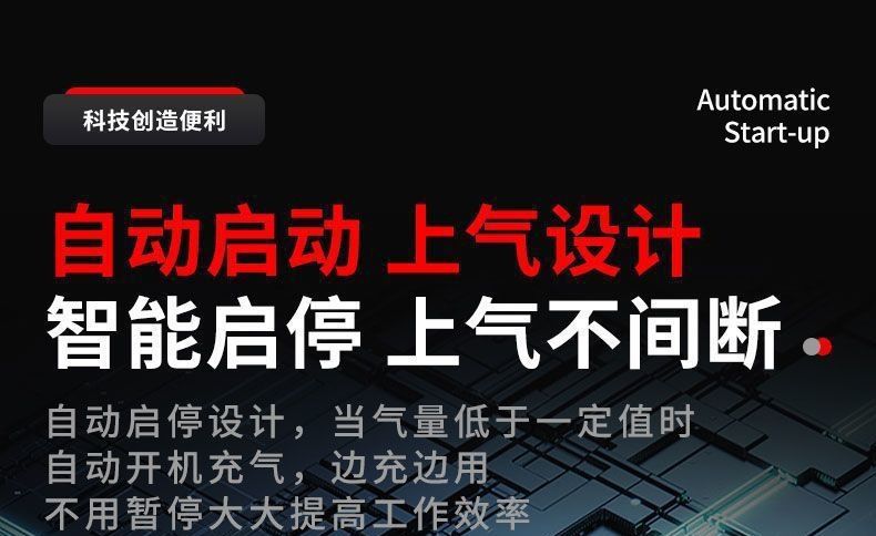 Ruicheng Air Pump Air Compressor Small Air Compressor Oil-Free Silent 220V Woodworking Spray Paint Air Pump