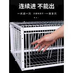 只进不出鸟笼全自动天落笼子撞门户外抓收鸽子捕加密可连续用
