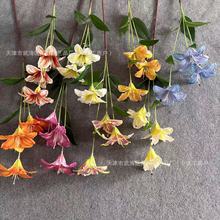 ���^С�ٺϷ��滨��c���ŵ������l�Ĕz�����b[�������Ĕz����