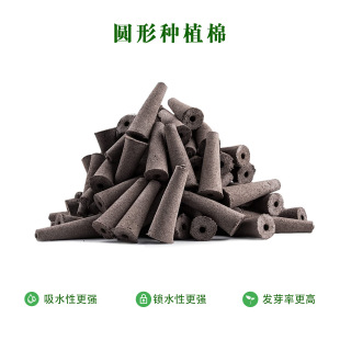 �o�������O��Nֲ�C�WУ��ͥDIYˮ���������K��ֲ���dˮ������