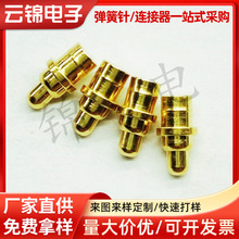 pogopinʽӾӶᘴLB̽