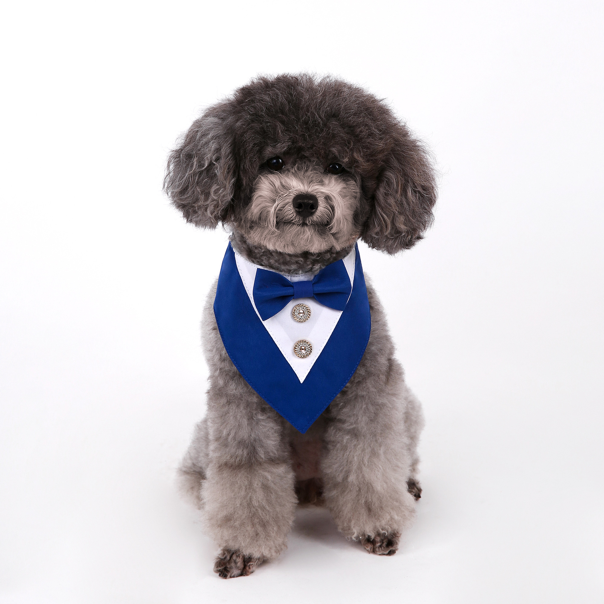 Navidad Año Nuevo Spot transfronterizo boda británica trajes toallas para mascotas bufandas perros velcro toallas para mascotas triángulos