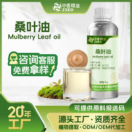 中香桑叶精油单方精油植物提取日化原料厂家现货供应可分装桑叶油