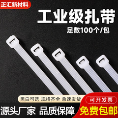 工業用グレードのナイロンケーブルタイ、100本、4*100、4*200、プラスチック包装、結束と固定、強力