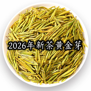 2026���²���ǰ�^���S��ѿ���~�߶�������S���~�S��ֱ�N���lɢ�b