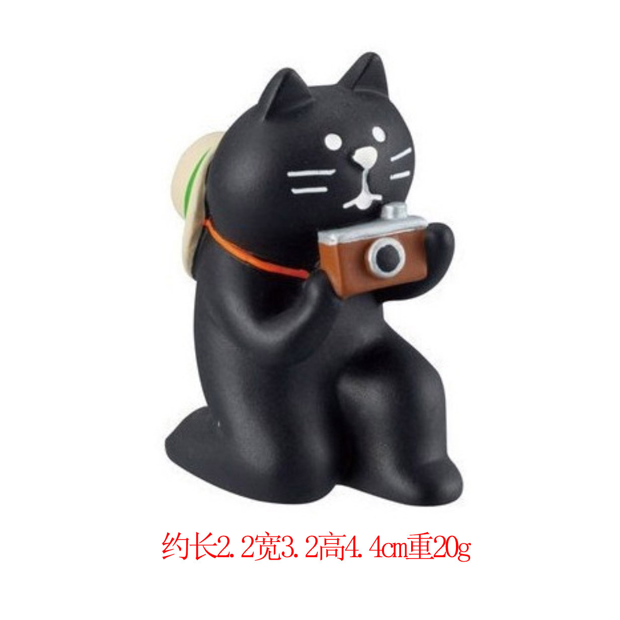 검은 고양이 사진