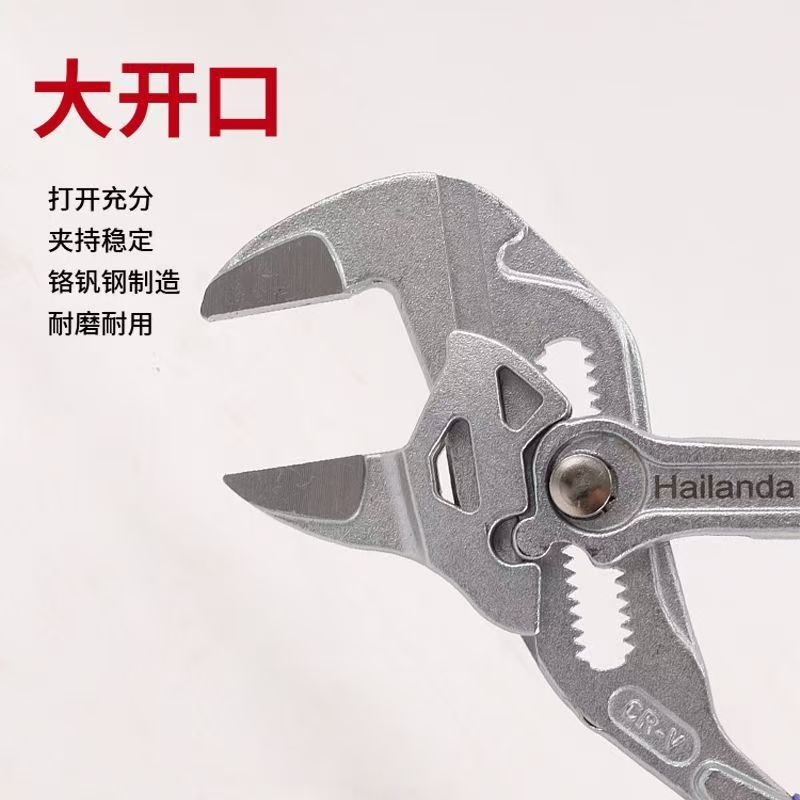 微信图片_202506031623266