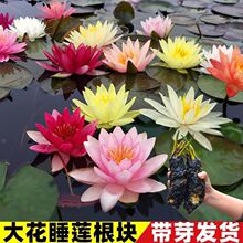 ˯ɏ������ˮ�״󎧻����ļ�ˮ��С��ˮ�B�ͺ�˯ɏ���Kˮ��˯ɏ