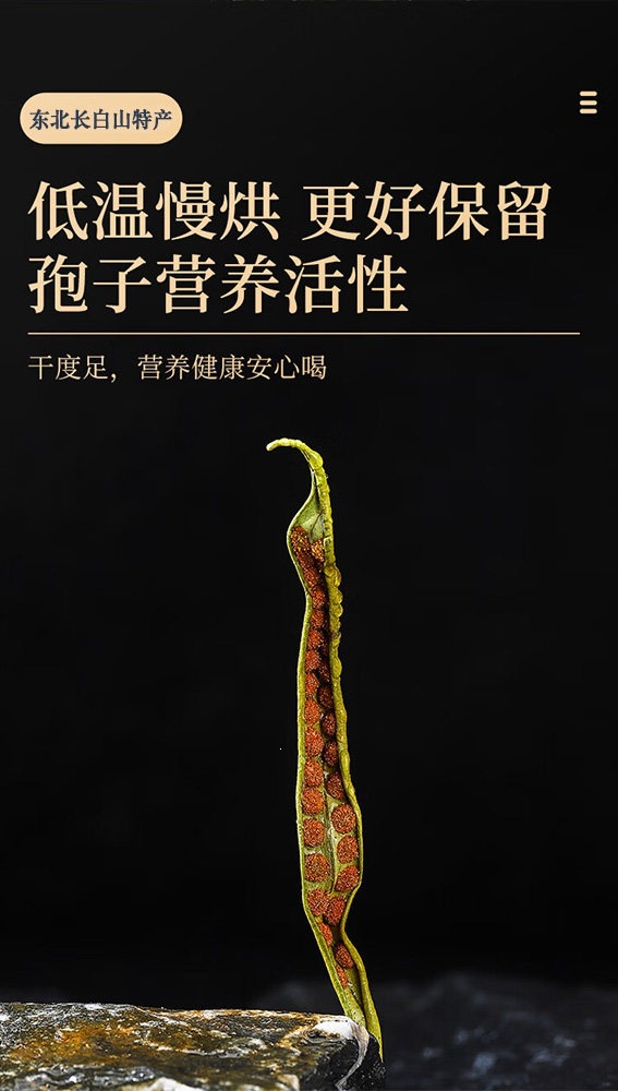 Kidney Essence Herb Shen Jing Cao Dried Herbal Tea 500g for Daily Infusion quality and texture