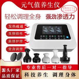 元气值植仪器三通大师养生仪器美容院dds生物电身体疏通调理仪